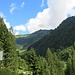 Grün dominiert im Bregenzer Wald