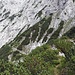 ich stoße wieder auf den Weg, der hoch zur Bergstation der Karwendelbahn zieht. (Querung oben links erkennbar)