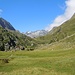 Eine Musterwiese vor der Alpeiner Almhütte und Blick ins Alpeiner Tal, hinten sieht man schon die FSH.