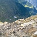 Panoramica dalla vetta del Corno Mud.In basso il Colle Mud e tutto a destra nella foto il versante di Alagna Valsesia.