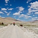 Auf dem Weg zum Kargush-Pass. Karge Landschaften, salzige Böden, Rinder auf der tadschikischen und Kamele auf der afghanischen Seite des Pamir-Flusses. Dazwischen die Pfiffe der Murmeltiere, die hier etwas anders aussehen und tönen.