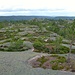 Pflanzbecken aus Granit