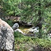 Die Cascata da Bernina schimmert an vielen Stellen durch den Wald...