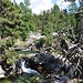 Cascata da Bernina.