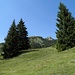 Blick Richtung Rotwandhaus