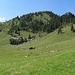 Kümpflalm