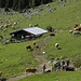 Kümpflalm