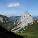 ein kühnes Horn