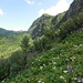 Blick zurück