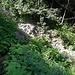 Einige Bäche müssen noch bei der Niederalm überquert werden