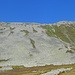 Die "Schotterhalde" in voller Pracht ☺