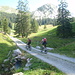 In uscita da bosco