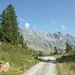 verso l'Alpe Stabveder