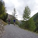 Auf der Abfahrt vom Passo Alpisella nach Livigno