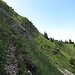 Der Rest des Pfades. Hinter der Kante wartet bereits der markierte Bergweg.