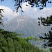 Der Blick durch den Wald zur gegenüber liegenden Talseite mit dem Piz Chapisun oberhalb von Guarda.