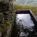 ... all'alpe Mergugna...
