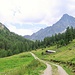 Lo Schwabenkopf dai pressi della Verpeil Alpe.