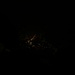 Grindelwald in der Nacht