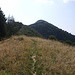 verso la Cima di Sassello