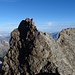 eine weitere Gruppe beim Abstieg in die letzte Scharte vor dem Gipfel des Piz Bernina
