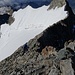 der oberste Abschnitt des Spallagrates vom Gipfel aus gesehen