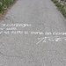 Im Aufstieg zum Monte Carpegna - Immer wieder sind Zitate von Marco Pantani zu lesen.