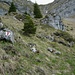 Im oderen Teil des Aufstieges zur Leiteren (1829m). Der Bergweg ist hier kaum erkennbar, die Route führt duch das schneegefüllte Couloir.
