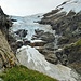 Oberer Grindelwaldgletscher<br />Dieses Jahr hat sich der Gletscher vom unteren Teil getrennt.