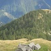 Alpe d' Albezzona, incantevole visione.