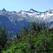 Tschentenalp : vue sur Tschingellochtighorn, Chinbettihorn, Steghorn et Wildstrubel