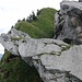 Irgend ein Spaßvogel hat direkt vor dem Gipfel diese zwei Felsen hingelegt. Es sind die einzigen ihrer Art weit und breit...