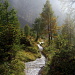 Chemin qui descend vers Kandersteg