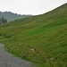 Blick zurück auf dem Weg "Klewenalp-Stockhütte"