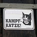 Zachi's Kampfkatze