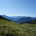 Kuh vor Stubaier Alpen (Marienbergjoch)