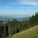 grüne Buckel-typisch für den Chiemgau