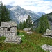 Alpe Orsalii, 1701m