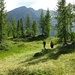 Einsames, wunderbares Stück Erde; oberhalb der Alpe Orsalii