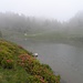 Tag 44: Der Lago Piz Tri im Nebel.