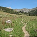 Wanderpfad zum Engeratsgundsee hinauf - oben links schon der helle Ostgipfel des Großen Daumen