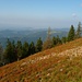 Herbstlicher Schwarzwald mit Blick bis Freiburg