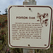 Poison Oak, auf Deutsch Giftsumach