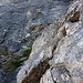 Letzte SL - vom Fels her am schönsten, bietet sie auch noch schöne Kletterzüge im 5. Grad und ist auch recht homogen. Oben wartet dann schon die Sonne.