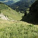 Die Rinne, die von der Alp Rah auf den Vorgipfel führt, von oben gesehen.