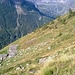 Panoramica su l'Alpe Faller,