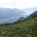 Alpe Mognone : vista sul Lago Maggiore