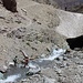 La discesa nel canyon coi ponti di neve