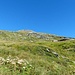Alpe Scaione, ben mimetizzata. Sulla sinistra la lunga pietraia da salire per arrivare a quota 2484 metri.