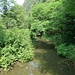 Der Fluss Polenz